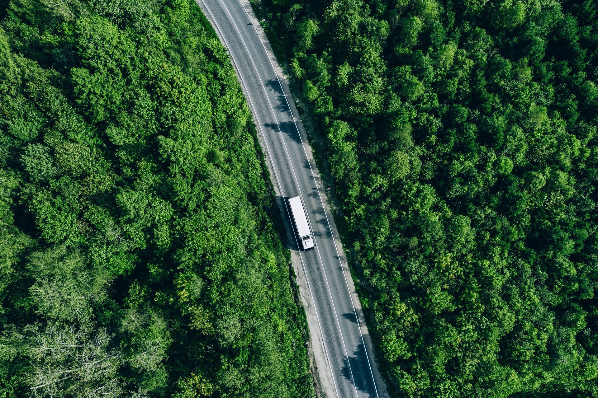 Aerial drone view of truck car on green summer curved road
